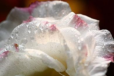 《莱莎的炼金工房3》公开三名新角色介绍视频